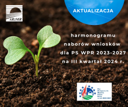 grafika dekoracyjna