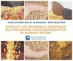 grafika dekoracyjna