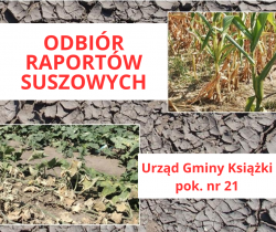 grafika dekoracyjna