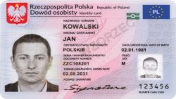 grafika dekoracyjna