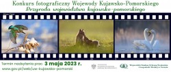 Plakat Przyroda województwa kujawsko-pomorskiego 2023