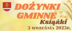 grafika dekoracyjna