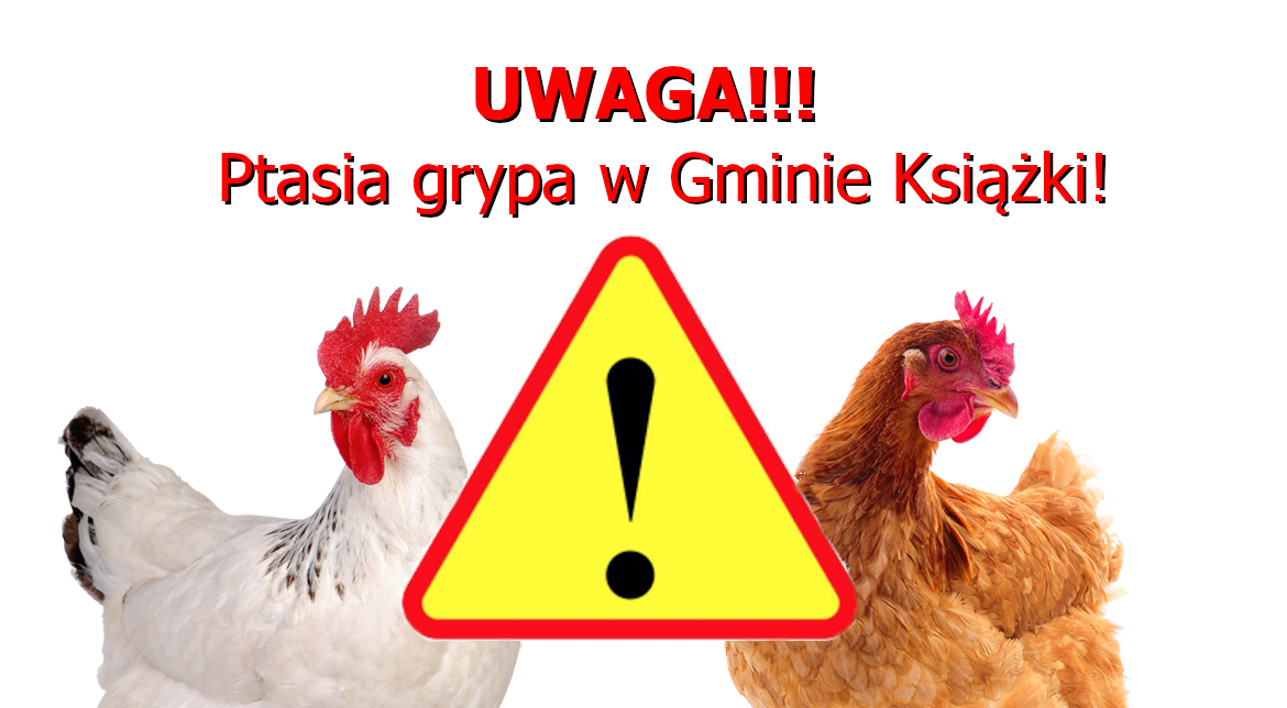 Uwaga!!! ptasia grypa w gminie książki