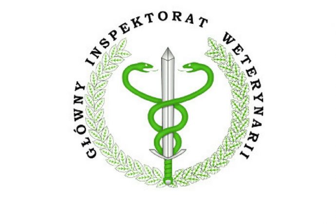 logo giw