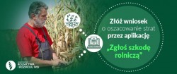 zgłoś szkodę rolniczą - infografika