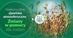 grafika dekoracyjna - niekorzystne zjawiska atmosferyczne, zmiany w pomocy dla rodzin